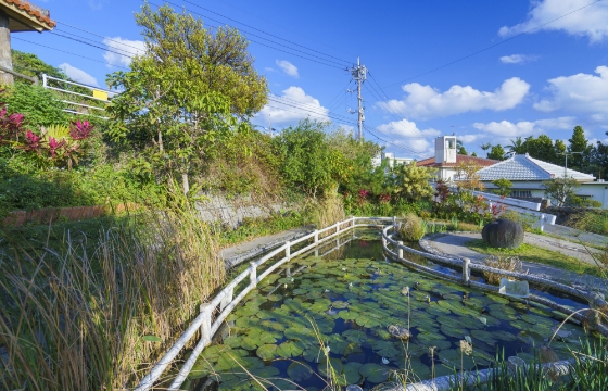 本部・大城エリア